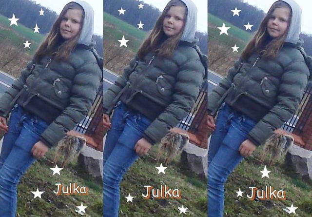 Wpis julkax3