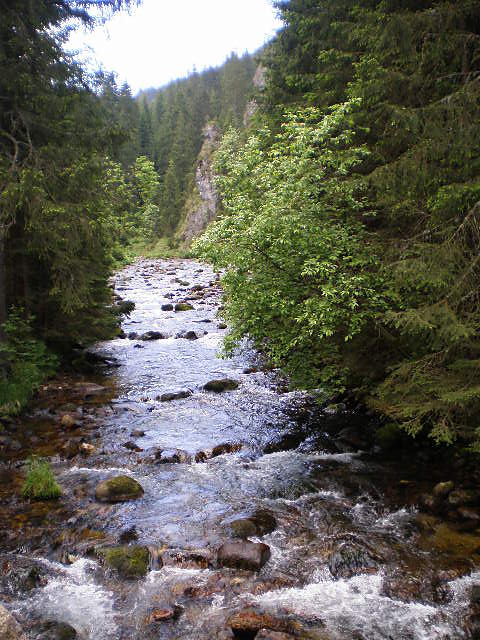 tatry