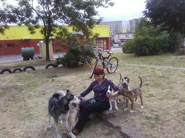 Wpis dorotexx