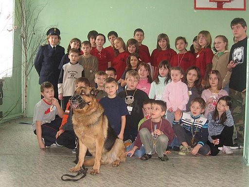 Wiktor mnie zsoni