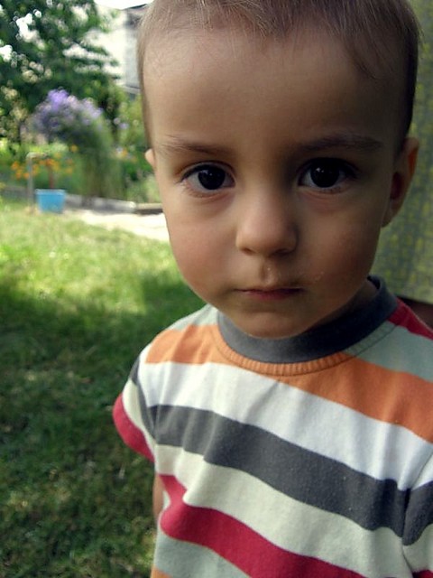 Wpis tymianek