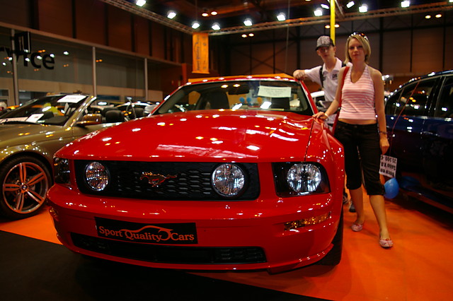 mustang
