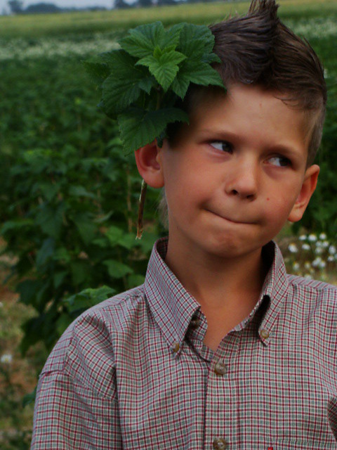 Wpis mateusz98