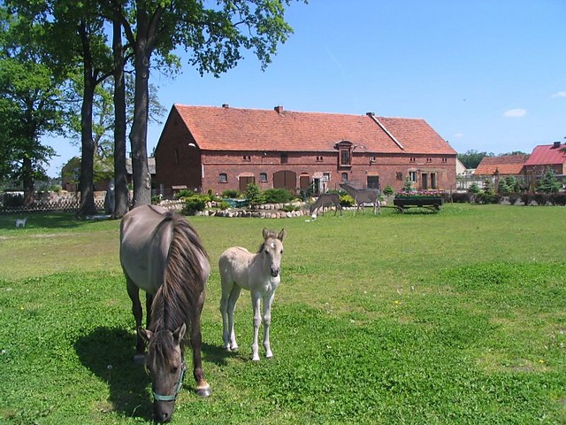 Wpis krysteek93