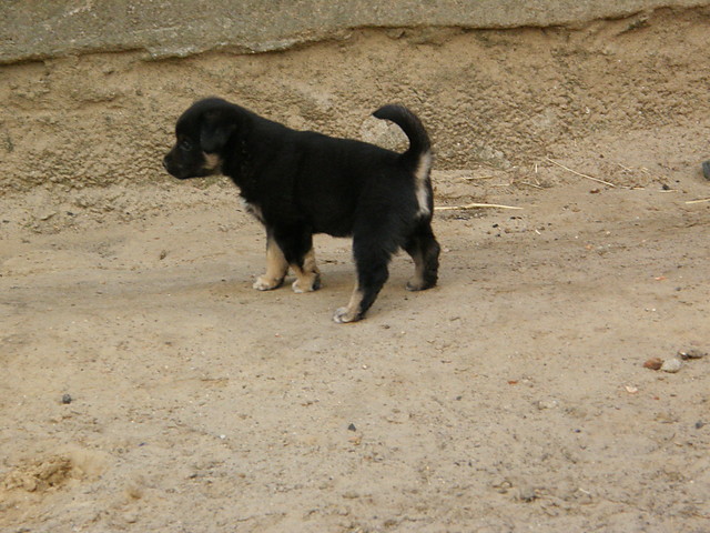 Wpis maxi013
