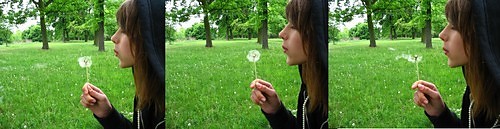 Wpis lulutkova
