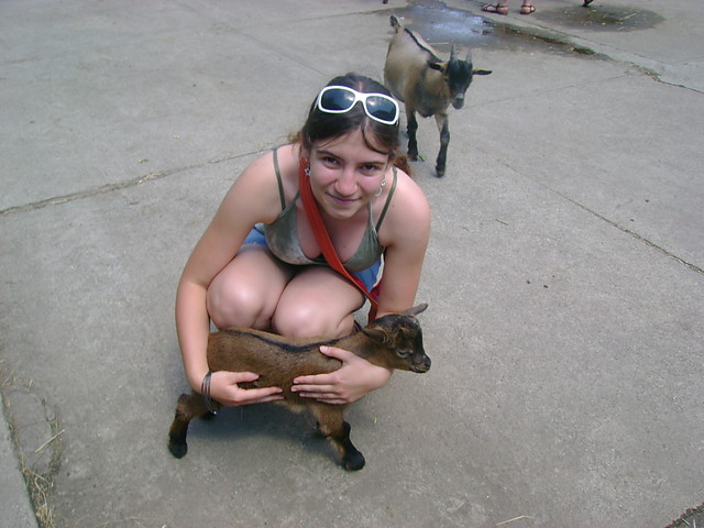 ZOO 8)
