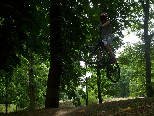 X-UP i WHIP