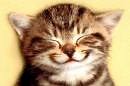 Happy