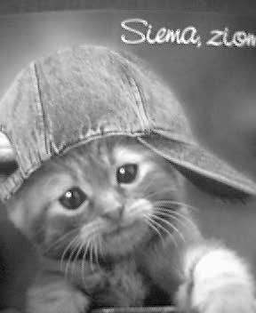 ziom