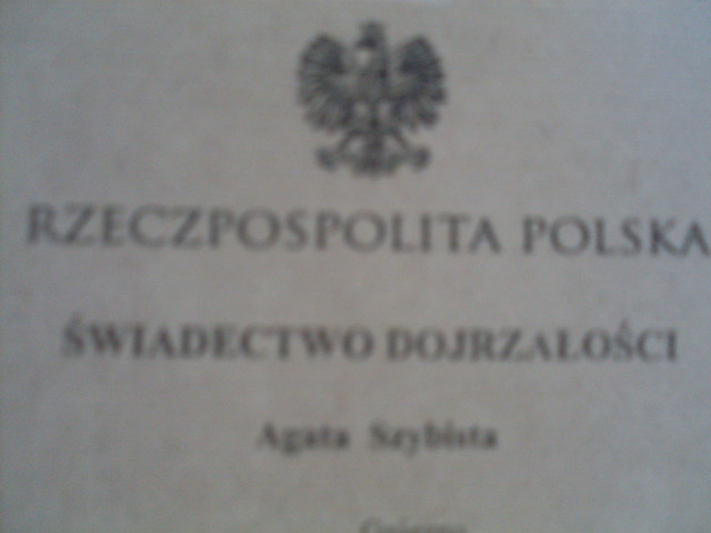 wyniki...