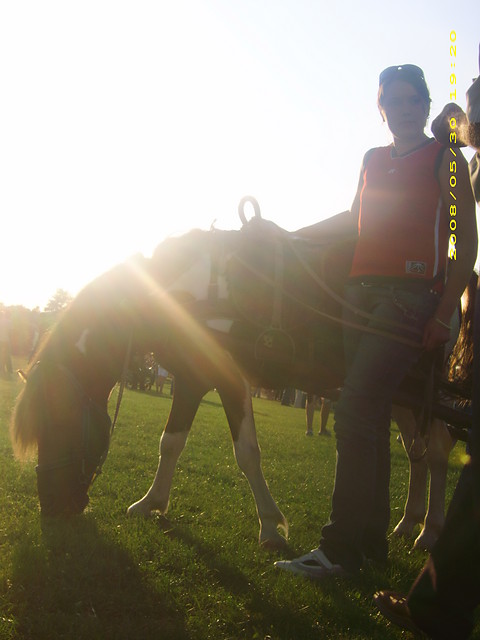 Filip