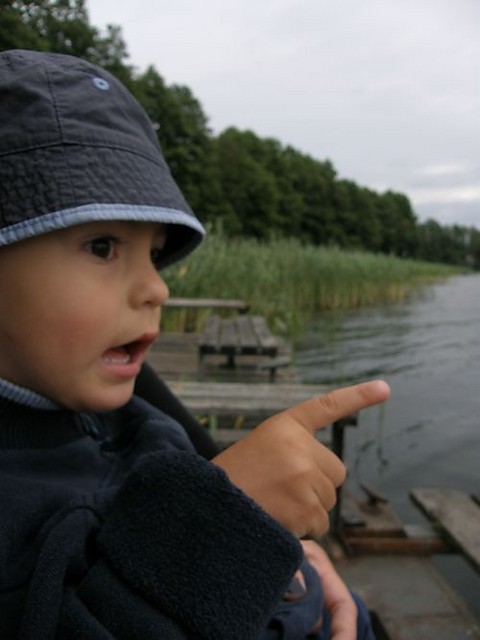 Wpis tymianek