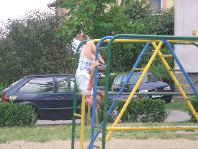 Wpis czapla7