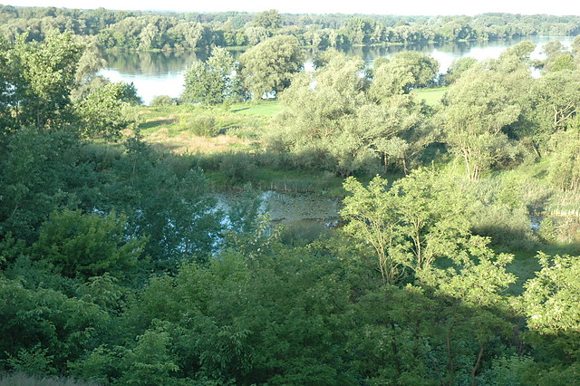 Winnica