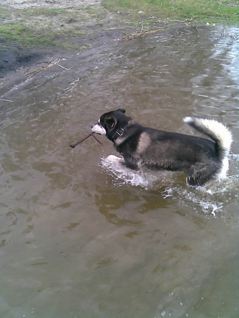 ebro na play 