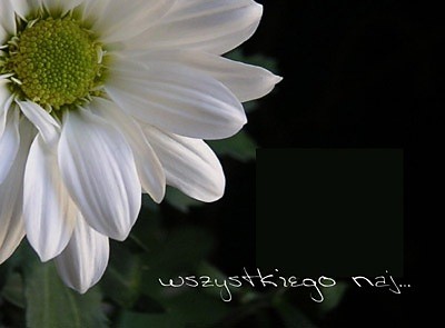 Wpis creative0