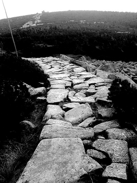 ...And the road becomes my bride