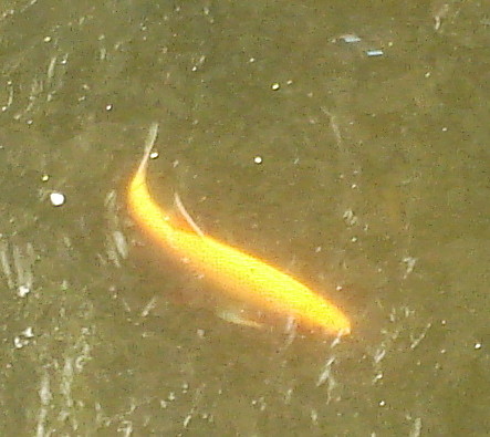 Wpis anusiak1997