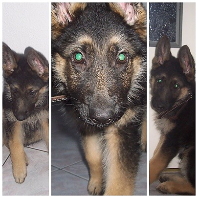 Moj nowy czlonek rodziny =D