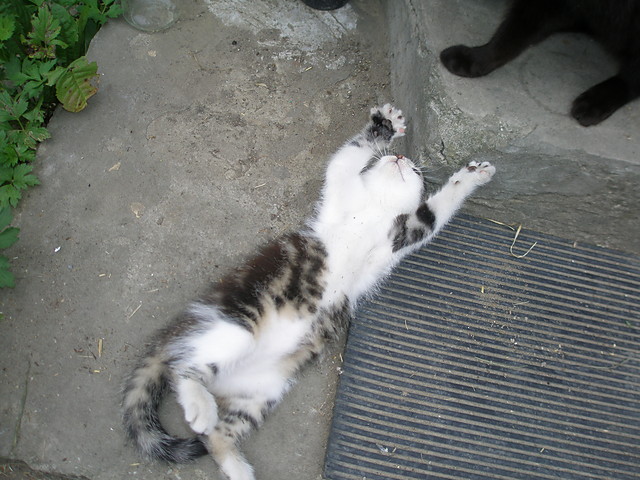 Ahh ta Gabrysia ;))