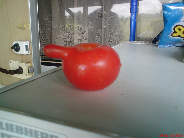 Smieszny pomidorek
