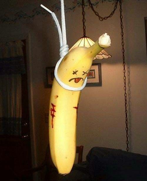 I'm so sorry mister bananas