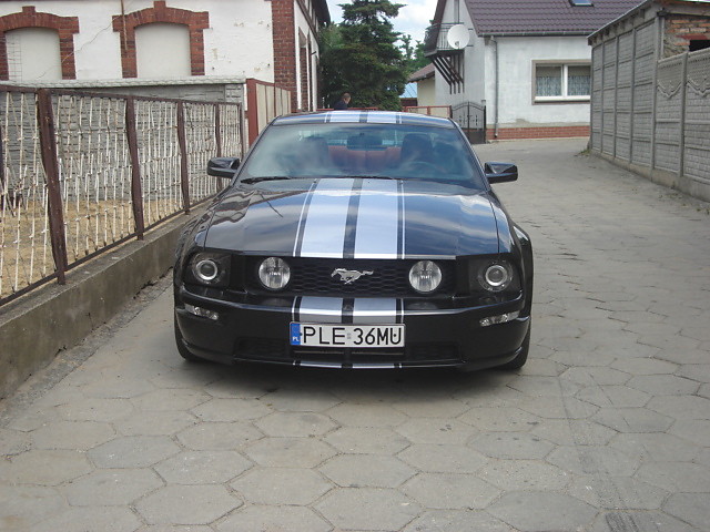 oto mustang