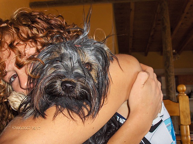 Wpis looca