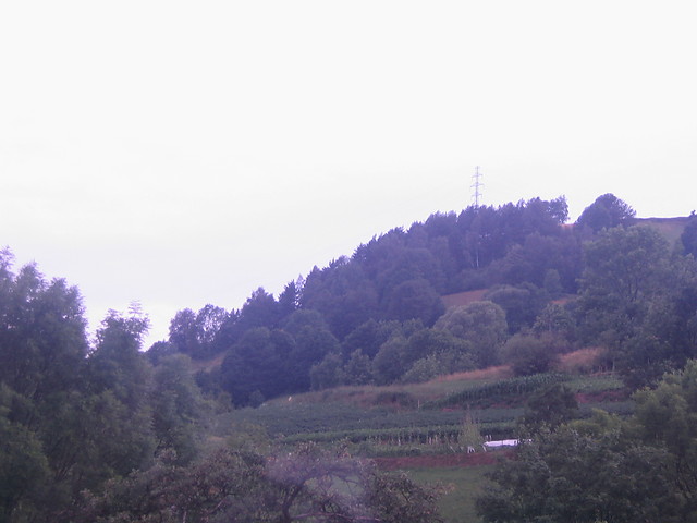 Wpis rudazientola