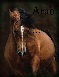 Brak..