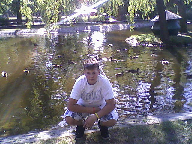 w parku