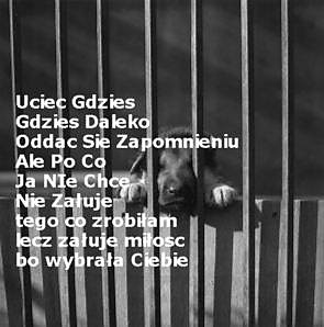 Wpis pocokomumilosc