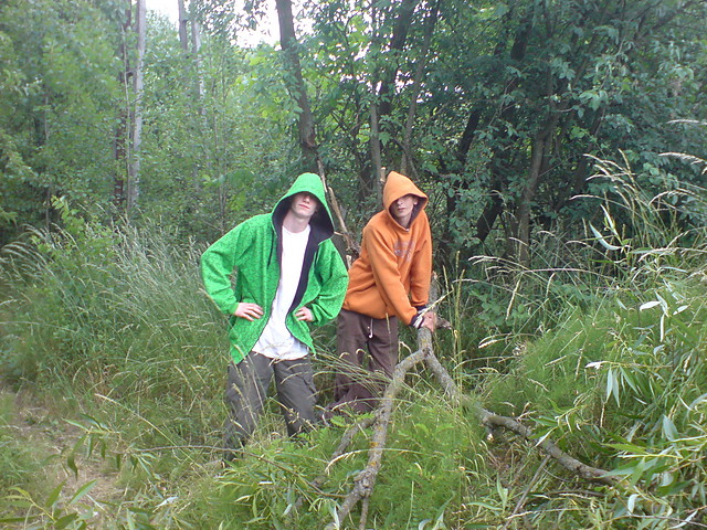 Children Of The Forests