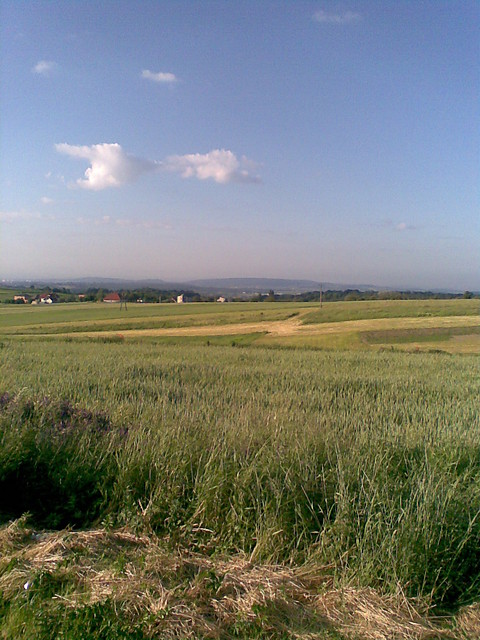 krajobraz. 