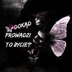 DoKD PrOwAdZi tO yCiE?