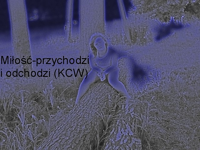 Wpis xinnaodinnychx