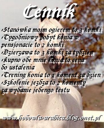 SLOWA JAK KOCHAM
