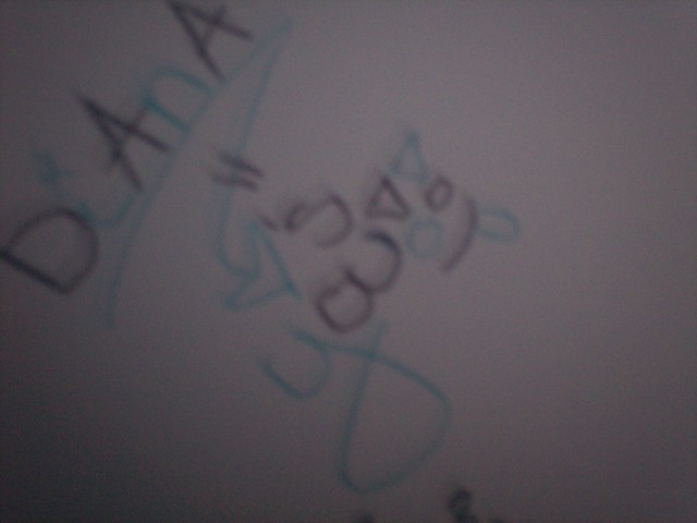 o maj gad xd