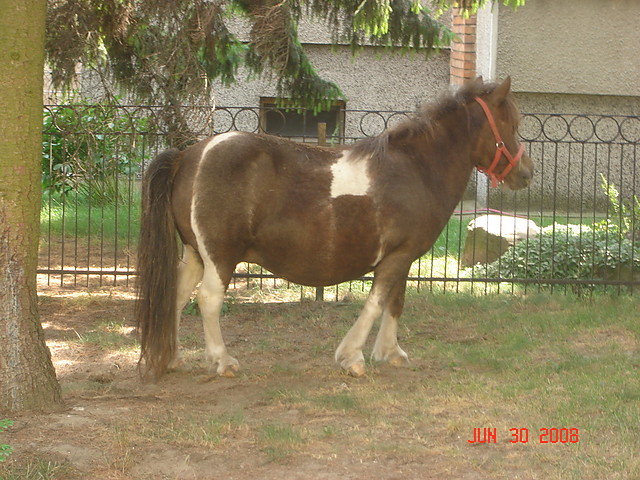 Bajka