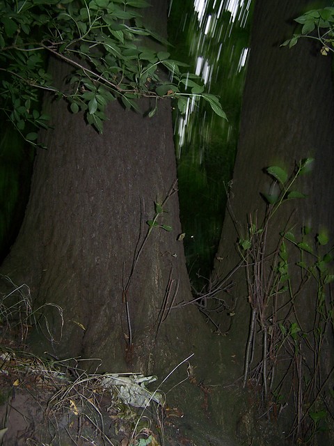 3.