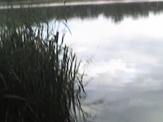 Wpis patinkaaa12
