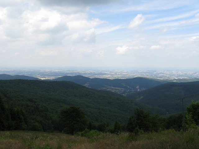 Leskowiec,