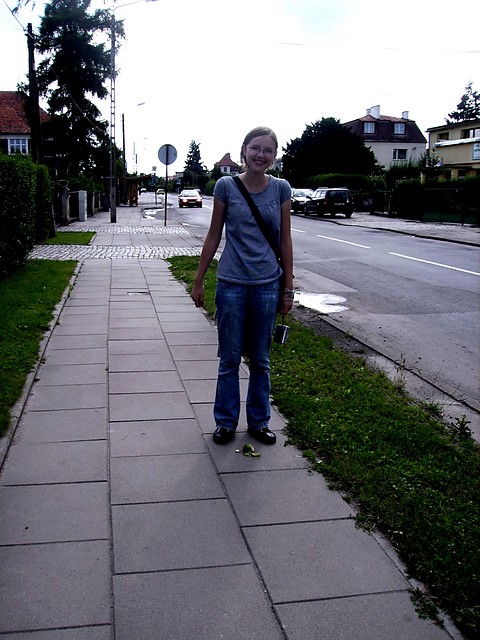 Wpis szyt