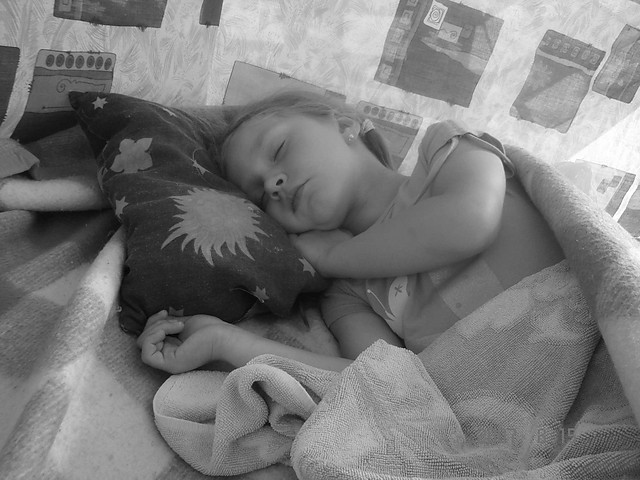 Martynia moja;*