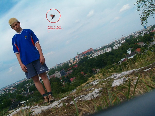O mj ptaszek... :P