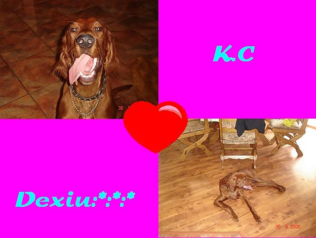 oto dexiuuuu:***
