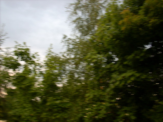 Wpis pawkrolowej