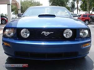 Mustang