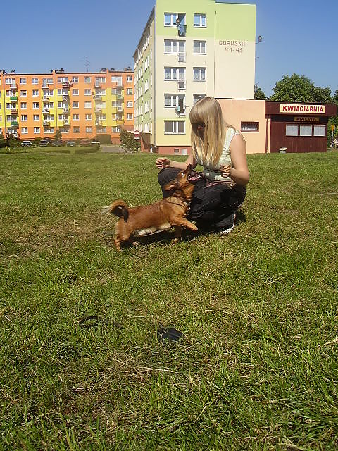 Wpis kalluss